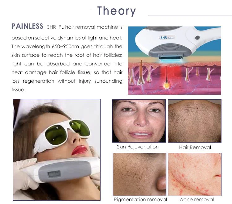 MED-210 theory
